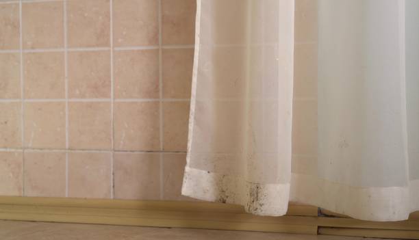 Best Mold Documentation for Insurance Claims  in Watergate, FL
