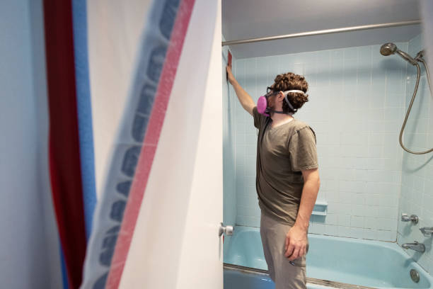 Best Black Mold Removal  in Watergate, FL