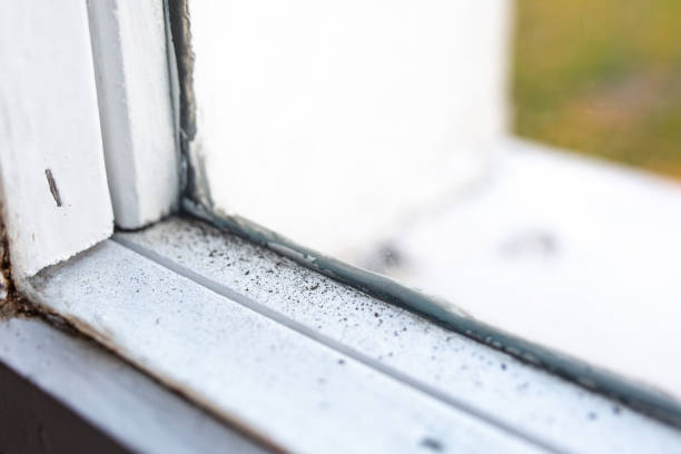 Best Commercial Mold Inspection  in Watergate, FL