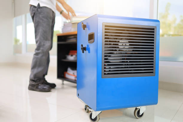 Best Mold Odor Removal Services  in Watergate, FL
