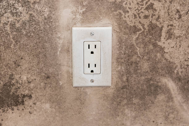 Watergate, FL Mold Removal Pros