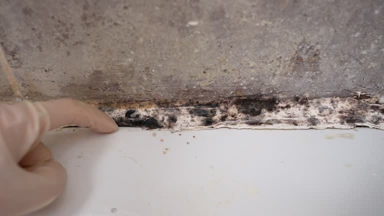 Best Air Quality Testing for Mold Spores  in Watergate, FL