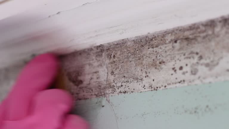 Best Post-Remediation Verification Testing  in Watergate, FL